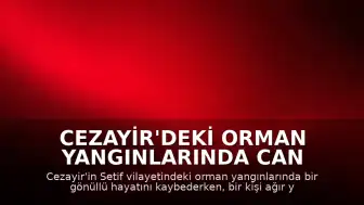 Cezayir'deki Orman Yangınlarında Can Kaybı ve Yaralanma Bildirildi
