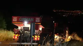 Denizli Pamukkale'de Orman Yangını: Rüzgarın Etkisiyle Alevler Yeniden Yükseldi