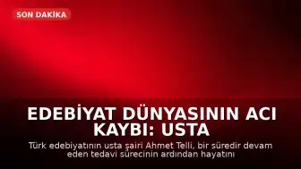 Edebiyat Dünyasının Acı Kaybı: Usta Şair Ahmet Telli Yaşamını Yitirdi