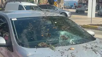 Eğirdir'de Şiddetli Rüzgar Ağacı Devirdi: Otomobil Hasar Gördü