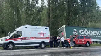 Erzurum'da tırın ağaçlara çarpması sonucu bir kişi hayatını kaybetti