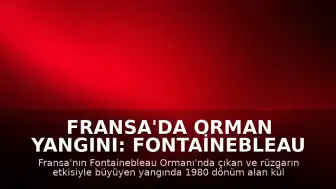 Fransa'da Orman Yangını: Fontainebleau Ormanı'nda Bin 980 Dönüm Alan Kül Oldu