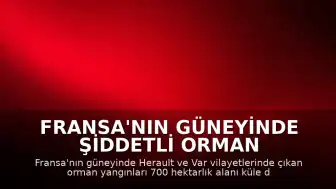 Fransa'nın güneyinde şiddetli orman yangınları: 700 hektarlık alan yok oldu