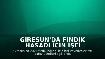 Giresun'da Fındık Hasadı İçin İşçi Yevmiyeleri Belirlendi