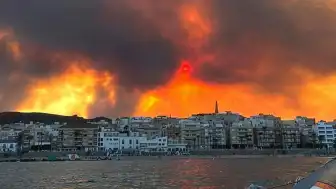 İspanya Almeria'daki Orman Yangınında Can Kaybı Artıyor: En Az 11 Ölü