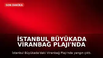 İstanbul Büyükada Viranbağ Plajı'nda Yangın Çıktı