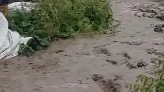 Kars'ın Arpaçay İlçesinde Sel: Evler, Ahırlar ve Tarım Arazileri Zarar Gördü
