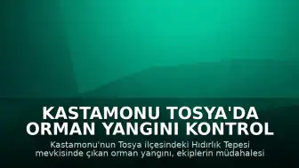 Kastamonu Tosya'da Orman Yangını Kontrol Altına Alındı