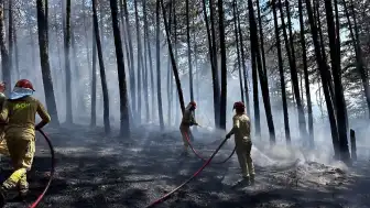 Kastamonu'da Daday ve Araç İlçeleri Sınırındaki Orman Yangını Kontrol Altına Alındı