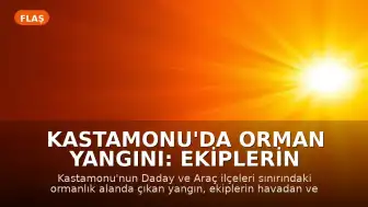 Kastamonu'da Orman Yangını: Ekiplerin Müdahalesiyle Kontrol Altına Alındı