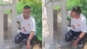 Kırıkhan'da Sahipli Köpek Direğe Asılı Bulundu: Vahşet İddiası