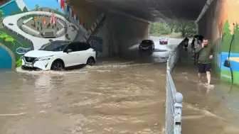Kocaeli'nde Sağanak Yağış: Alt Geçit Suyla Doldu