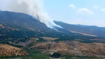Malatya Pütürge'de Orman Yangını Çıktı