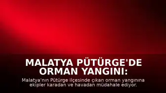 Malatya Pütürge'de Orman Yangını: Ekiplerin Müdahalesi Sürüyor