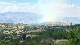 Malatya Pütürge'deki Orman Yangını Kontrol Altına Alındı