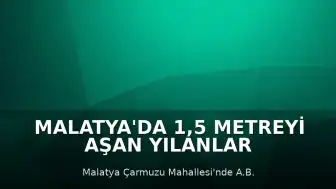 Malatya'da 1,5 Metreyi Aşan Yılanlar Doğaya Salındı
