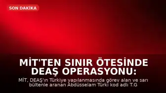 MİT'ten Sınır Ötesinde DEAŞ Operasyonu: Aranan Şahıs Yakalandı