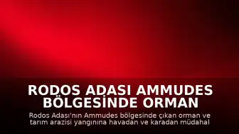 Rodos Adası Ammudes Bölgesinde Orman Yangını Meydana Geldi