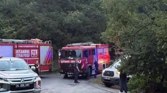 Sarıyer Kocataş Mahallesi'ndeki Orman Yangınında 1 İtfaiye Eri Yaralandı