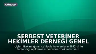 Serbest Veteriner Hekimler Derneği Genel Başkanı Bilsay Kanat: "Bize kaç hayvan toplandığını değil, kaçının yaşatıldığını söyleyin"
