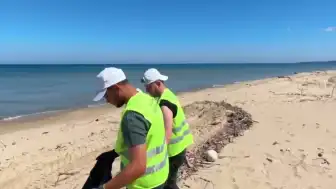 Sinop Sarıkum Tabiatı Koruma Alanı'nda Kapsamlı Temizlik Çalışması Gerçekleştirildi