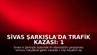 Sivas Şarkışla'da Trafik Kazası: 1 Ölü, 8 Yaralı