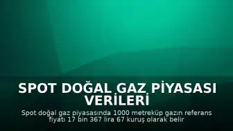Spot Doğal Gaz Piyasası Verileri Açıklandı