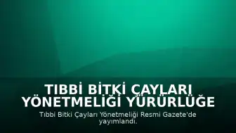 Tıbbi Bitki Çayları Yönetmeliği Yürürlüğe Girdi: Eczanelerde Satış Zorunluluğu ve Yeni Düzenlemeler