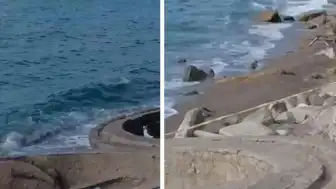 Zonguldak Filyos Sahili'nde Askeri Amaçlı Olduğu Düşünülen İHA Bulundu