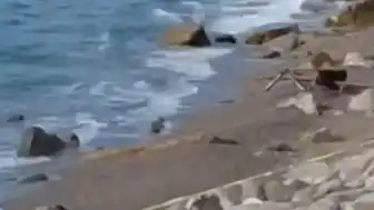 Zonguldak Filyos Sahili'nde Askeri İHA Bulundu: Geniş Güvenlik Önlemi Alındı