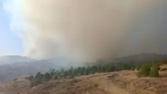 Bilecik'in İnhisar İlçesinde Ağaçlandırma Sahasında Yangın Çıktı