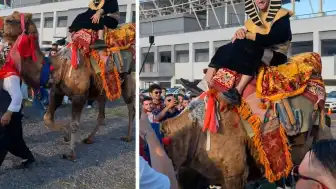 Trabzonspor Taraftarından Develi Stadyum Gösterisi