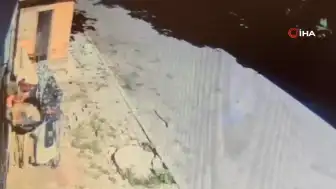 Arnavutköy'de Saksı Çiçeği Hırsızlığı Güvenlik Kamerasına Yansıdı