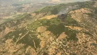 Aydın'ın Çine İlçesinde Orman Yangını 2 Saatte Kontrol Altına Alındı