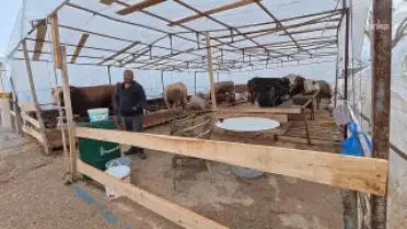 Yozgat'ta Kurban Pazarı Daraldı: Çadır Sayısı 9'a Düştü, Satışlar Yavaş