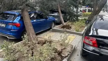 Ankara'da Şiddetli Rüzgar Hayatı Felç Etti: Ağaçlar Devrildi, Araçlar Zarar Gördü