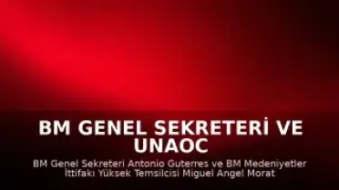 BM Genel Sekreteri ve UNAOC Yüksek Temsilcisi, San Diego'daki Camii Saldırısını Kınadı