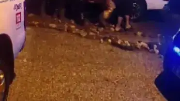 Hatay'da Sağanak Sonucu Ev Çöktü: 1 Ölü, 3 Yaralı