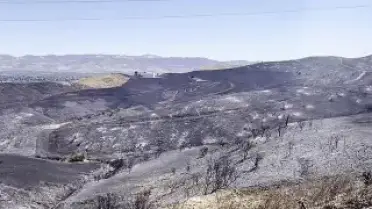 Kaliforniya'da Orman Yangını Kontrol Altına Alınamıyor