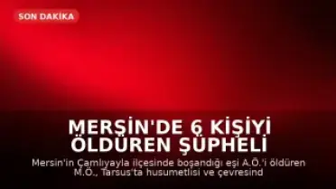 Mersin'de 6 Kişiyi Öldüren Şüpheli İntihar Etti