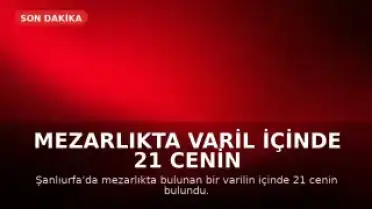 Mezarlıkta Varil İçinde 21 Cenin Bulundu