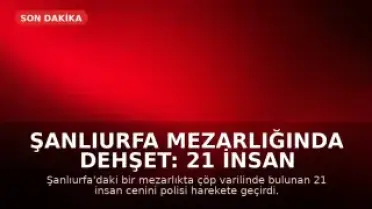 Şanlıurfa Mezarlığında Dehşet: 21 İnsan Cenini Bulundu