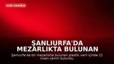 Şanlıurfa'da Mezarlıkta Bulunan Varilde 21 Cenine El Konuldu