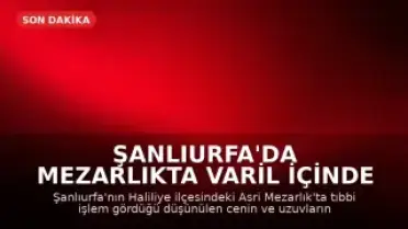 Şanlıurfa'da Mezarlıkta Varil İçinde Cenin ve Uzuvlar Bulundu