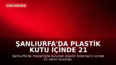 Şanlıurfa'da Plastik Kutu İçinde 21 Cenin Bulundu