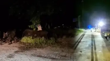 Tokat'ta Sel Riski Nedeniyle Bir Köy Tahliye Ediliyor