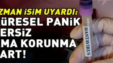 Uzmanlardan Hantavirüs Uyarısı: Küresel Panik Yerel Korunma Şart