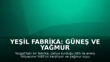 Yeşil Fabrika: Güneş ve Yağmur Suyuyla Enerji ve Su İhtiyacını Karşılıyor