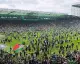 Celtic'in Şampiyonluğu Taraftar Sahaya İnince Tehlikeye Girdi