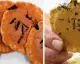 Japonya'da Arılı Kraker İlgi Görüyor: Yaban Arılı Senbei Tüketimi Güvenli